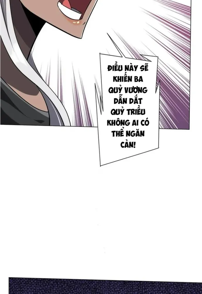 Chapter 297