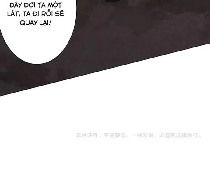 Chapter 297
