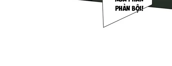 Chapter 300