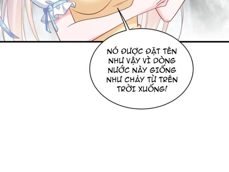 Chapter 135
