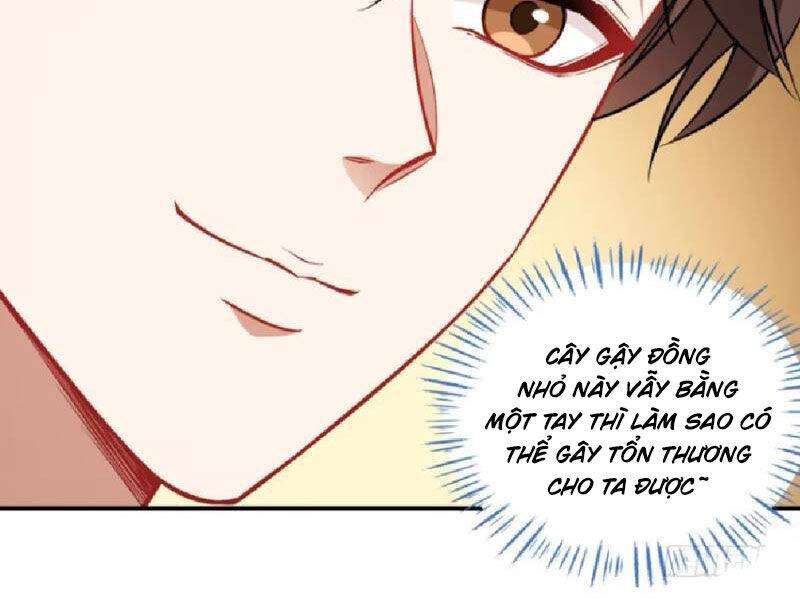 Chapter 161