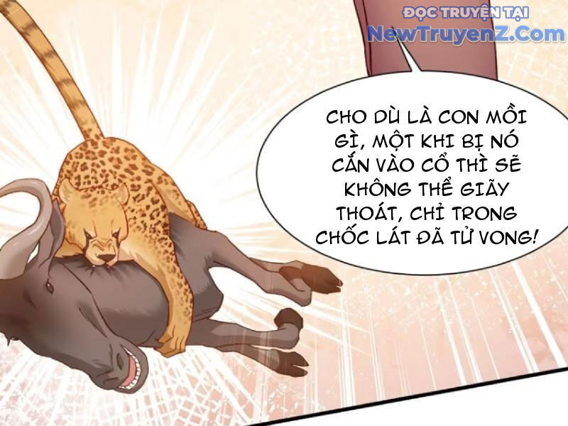 Chapter 197