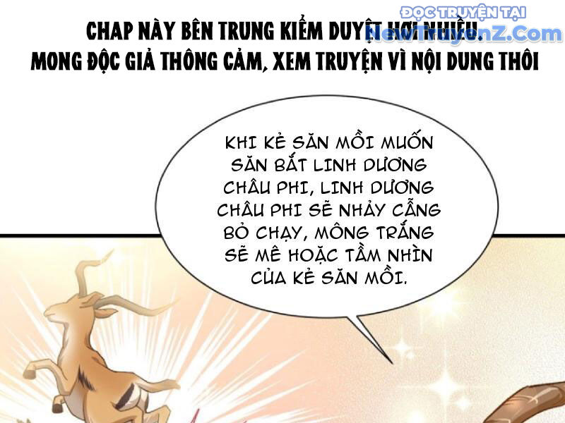 Chapter 197
