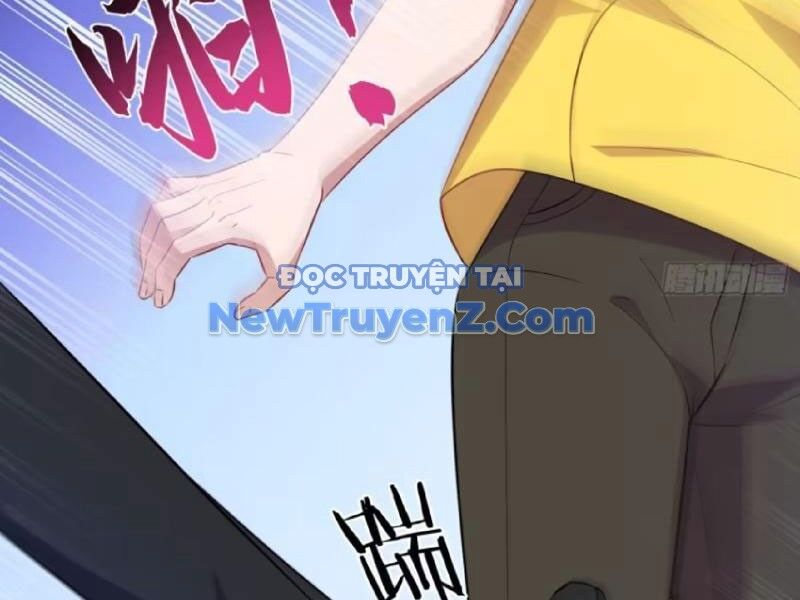 Chapter 204