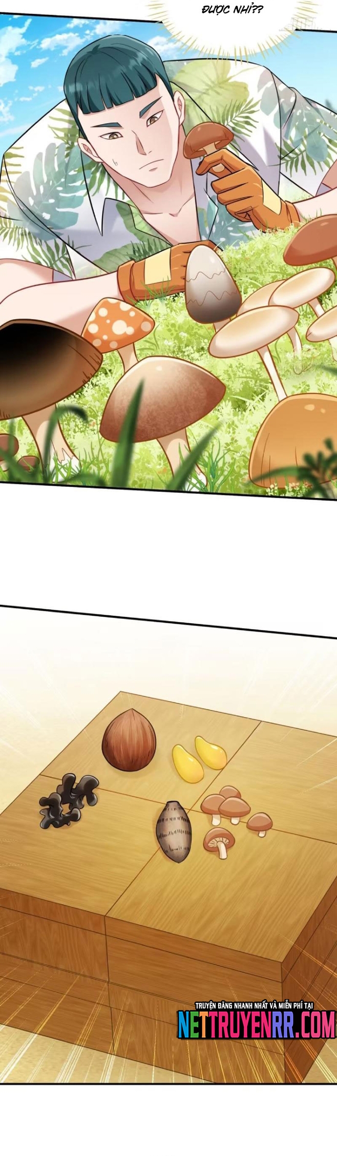 Chapter 209