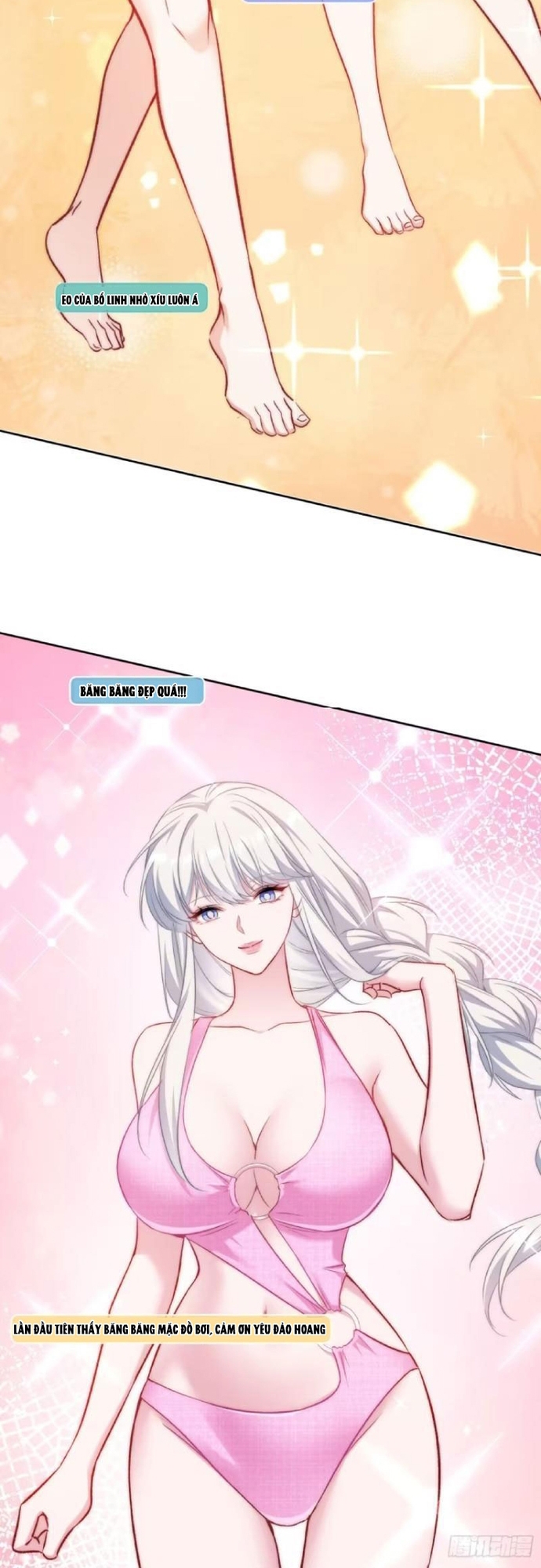Chapter 210