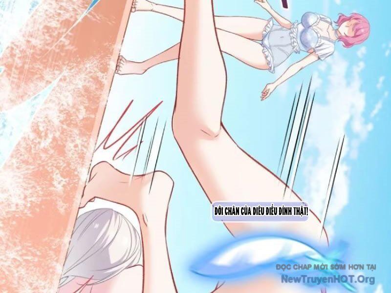 Chapter 211