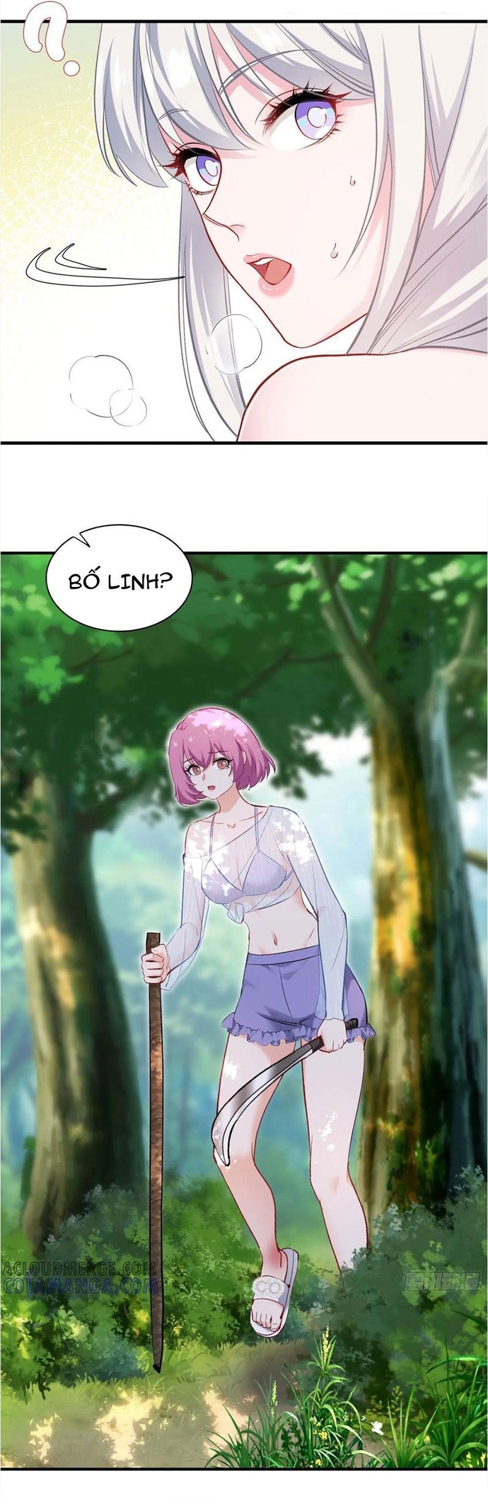 Chapter 215