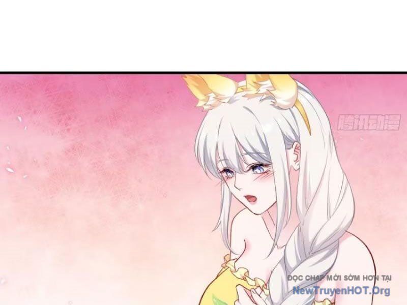 Chapter 217