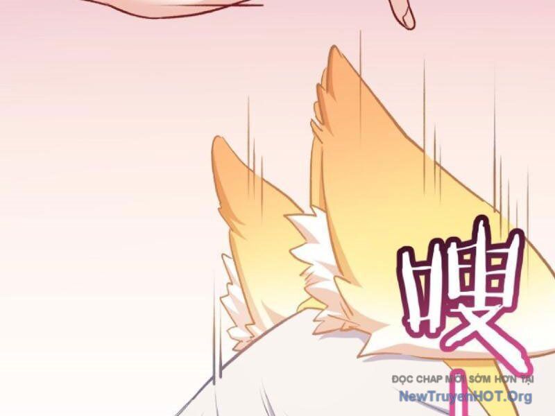 Chapter 218