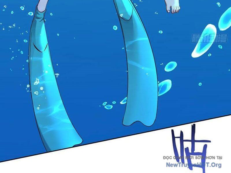 Chapter 219