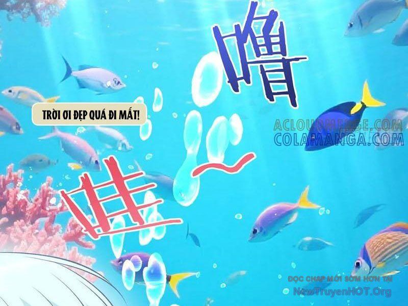Chapter 219