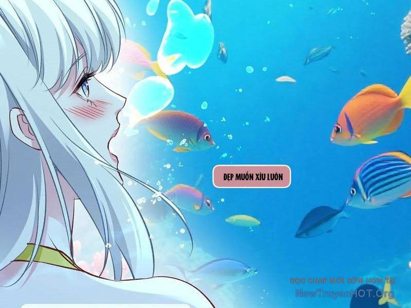 Chapter 219