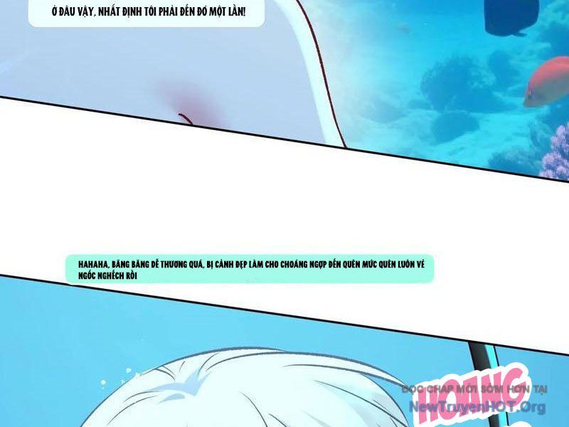 Chapter 219