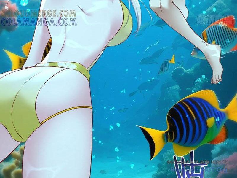 Chapter 219