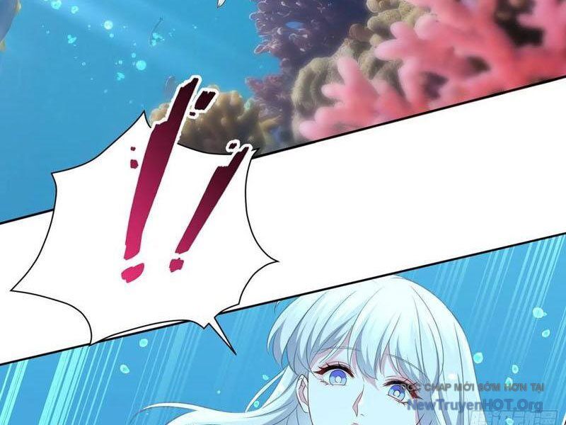 Chapter 219