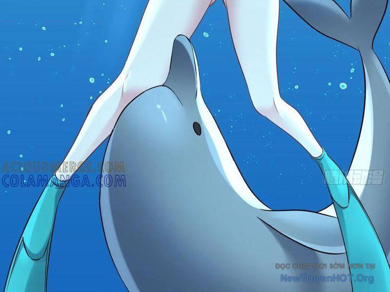 Chapter 219