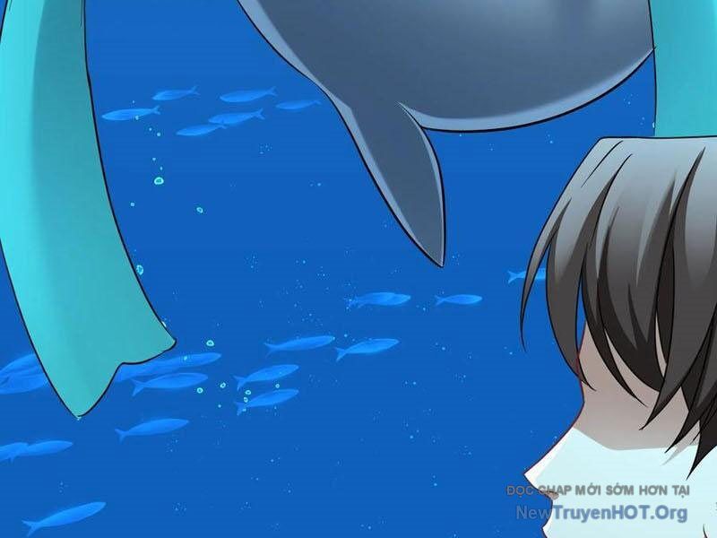 Chapter 219