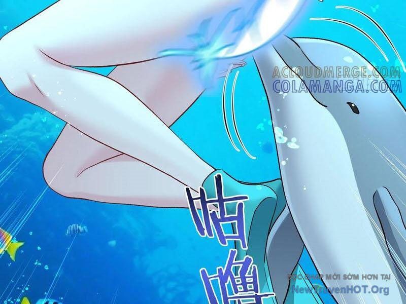 Chapter 219