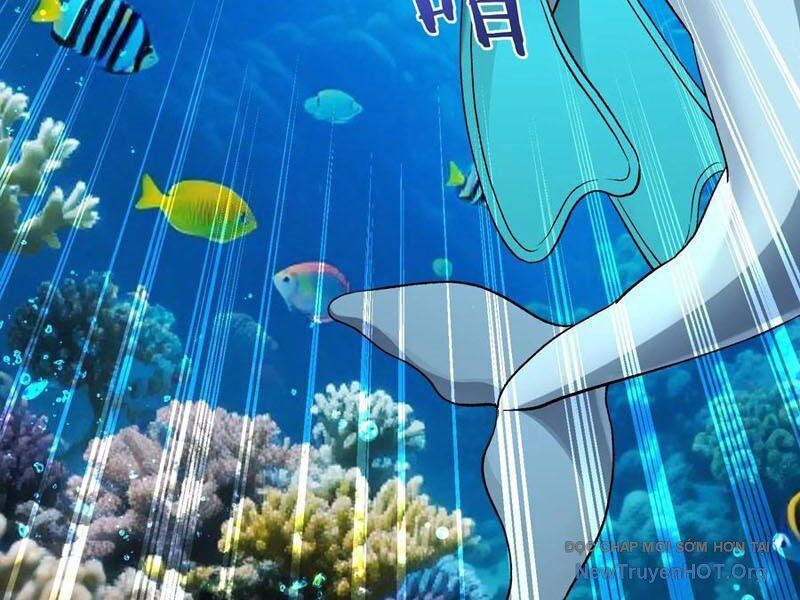 Chapter 219