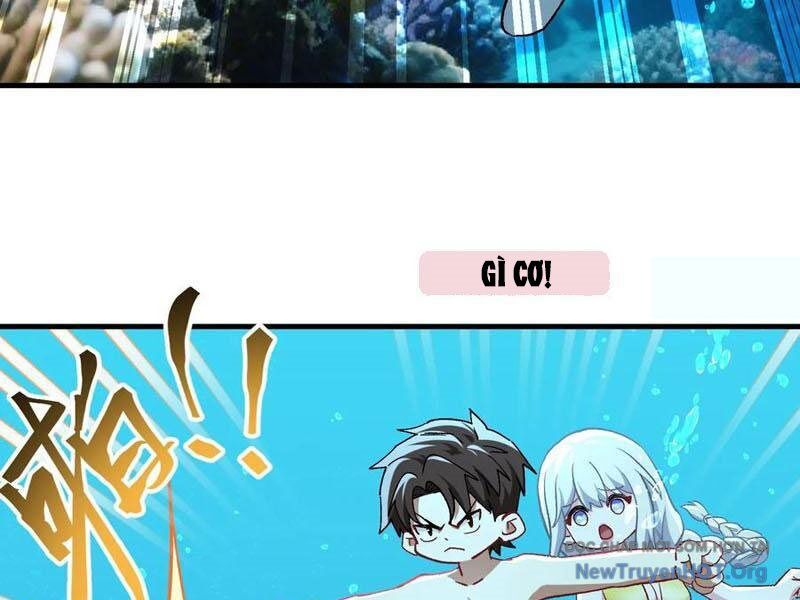 Chapter 219