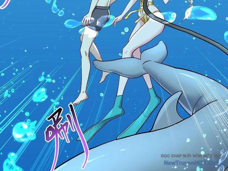 Chapter 219