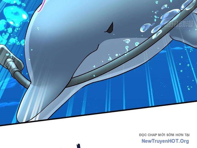 Chapter 219