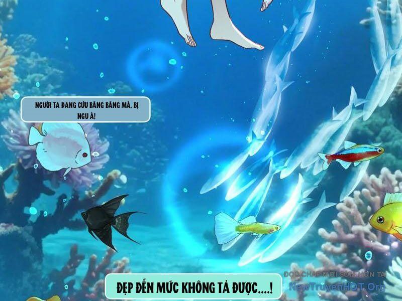 Chapter 219