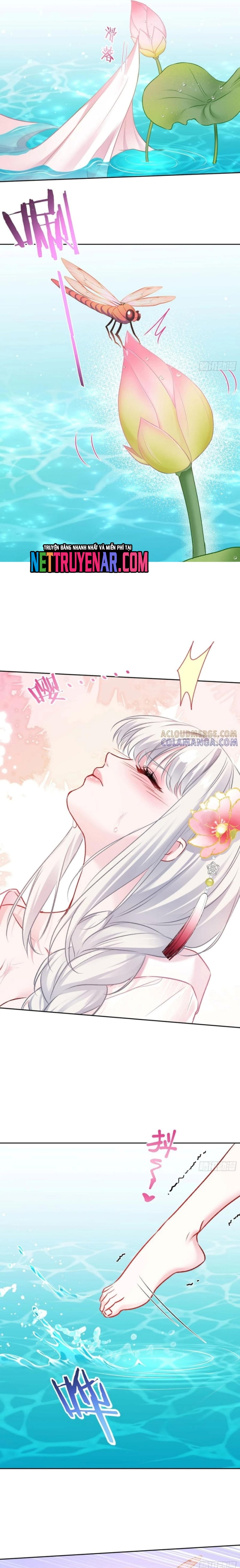 Chapter 225