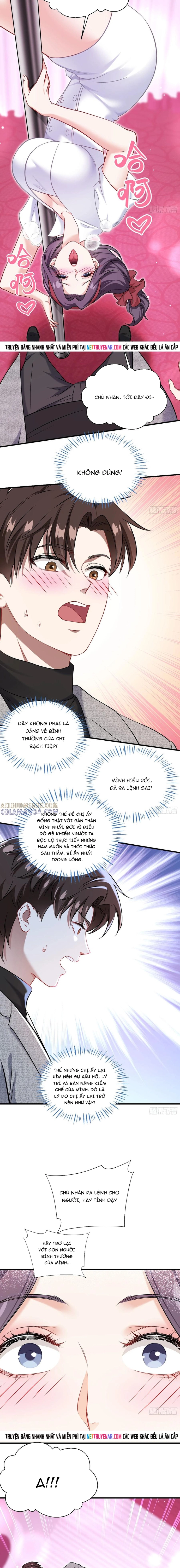 Chapter 234