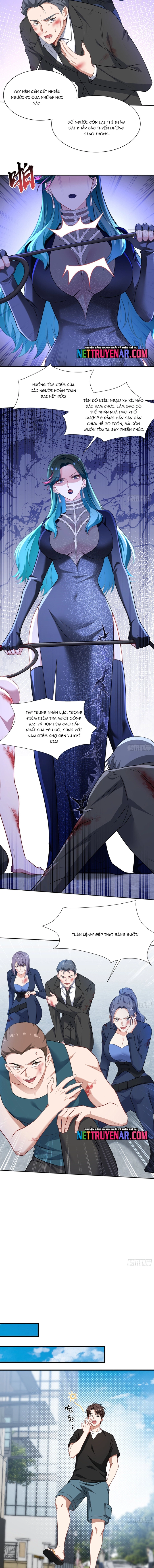 Chapter 239