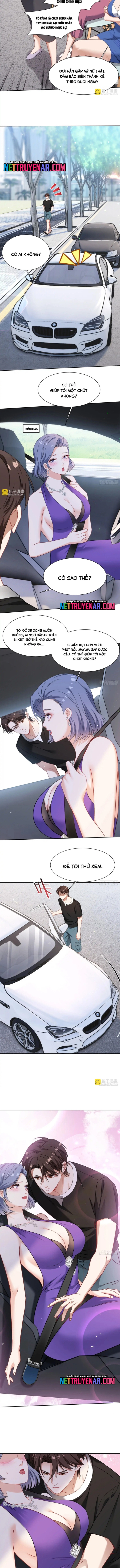 Chapter 241