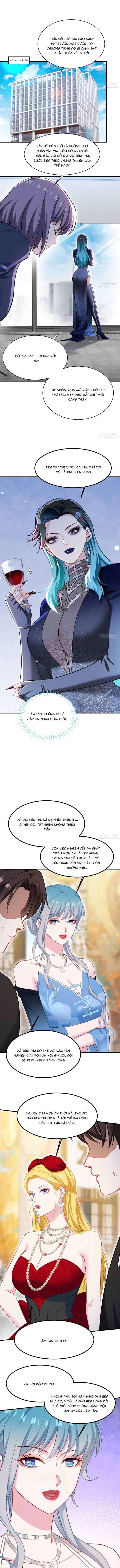 Chapter 244