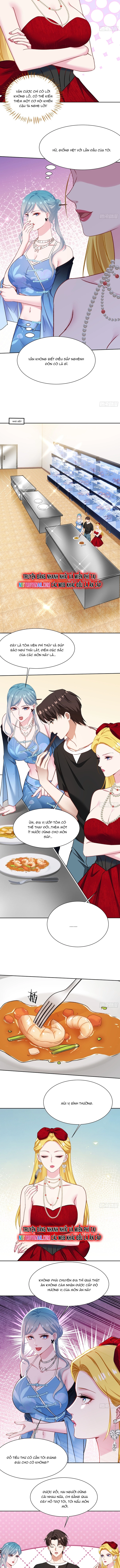 Chapter 244