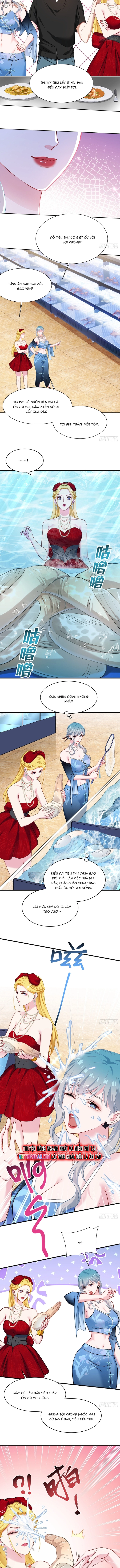 Chapter 244