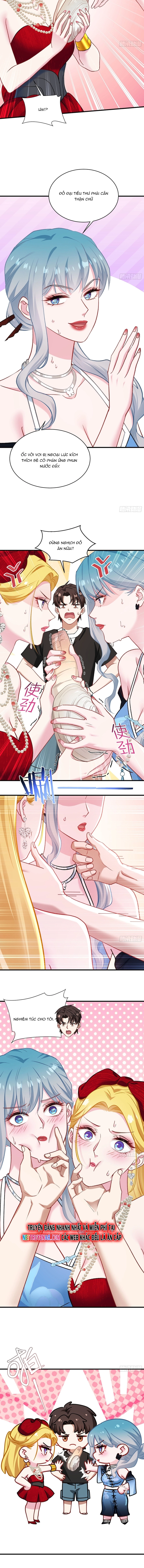 Chapter 244