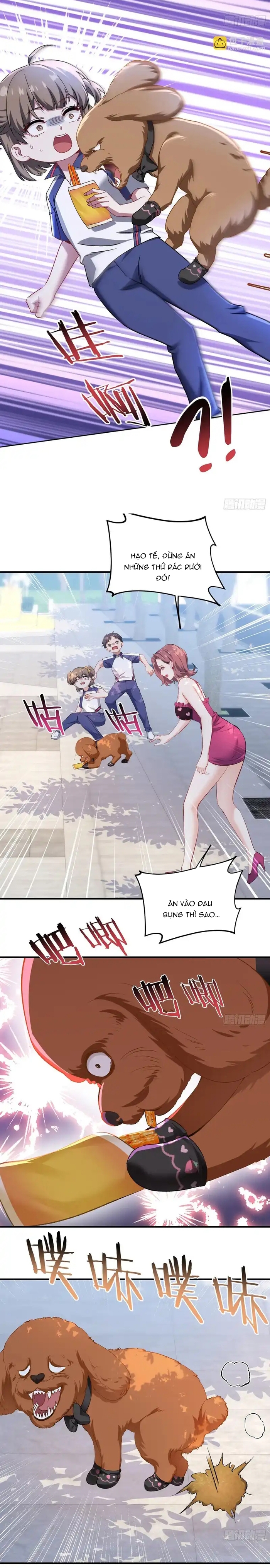 Chapter 253