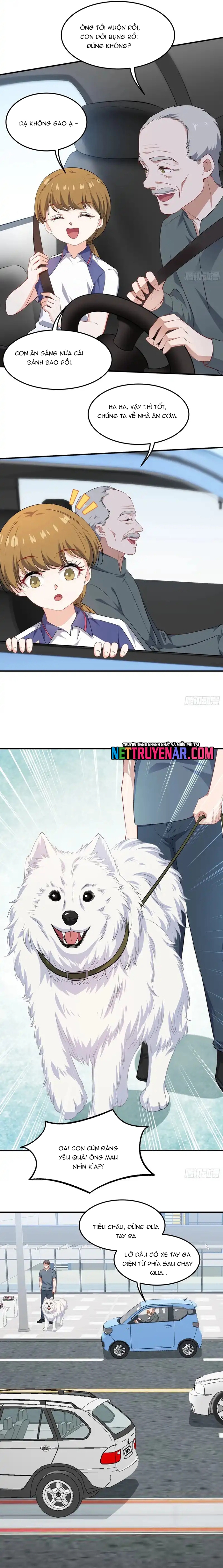 Chapter 253