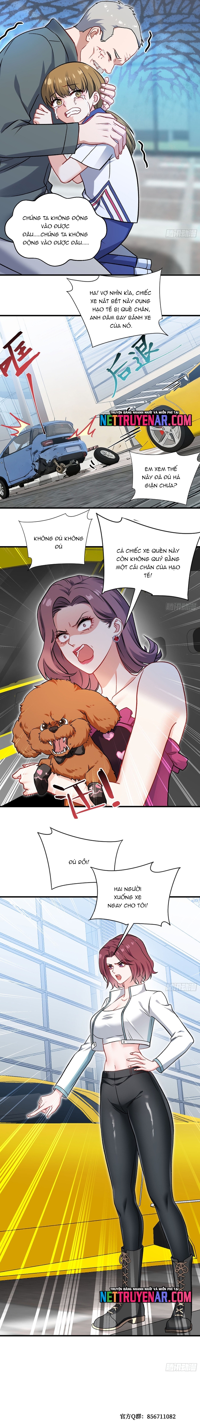 Chapter 254