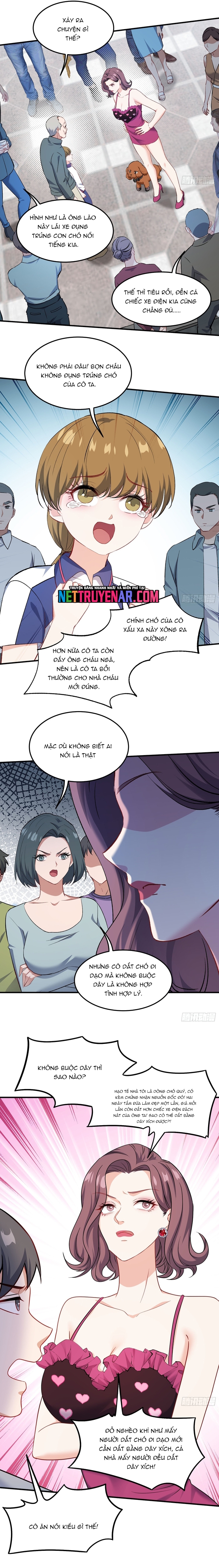 Chapter 254