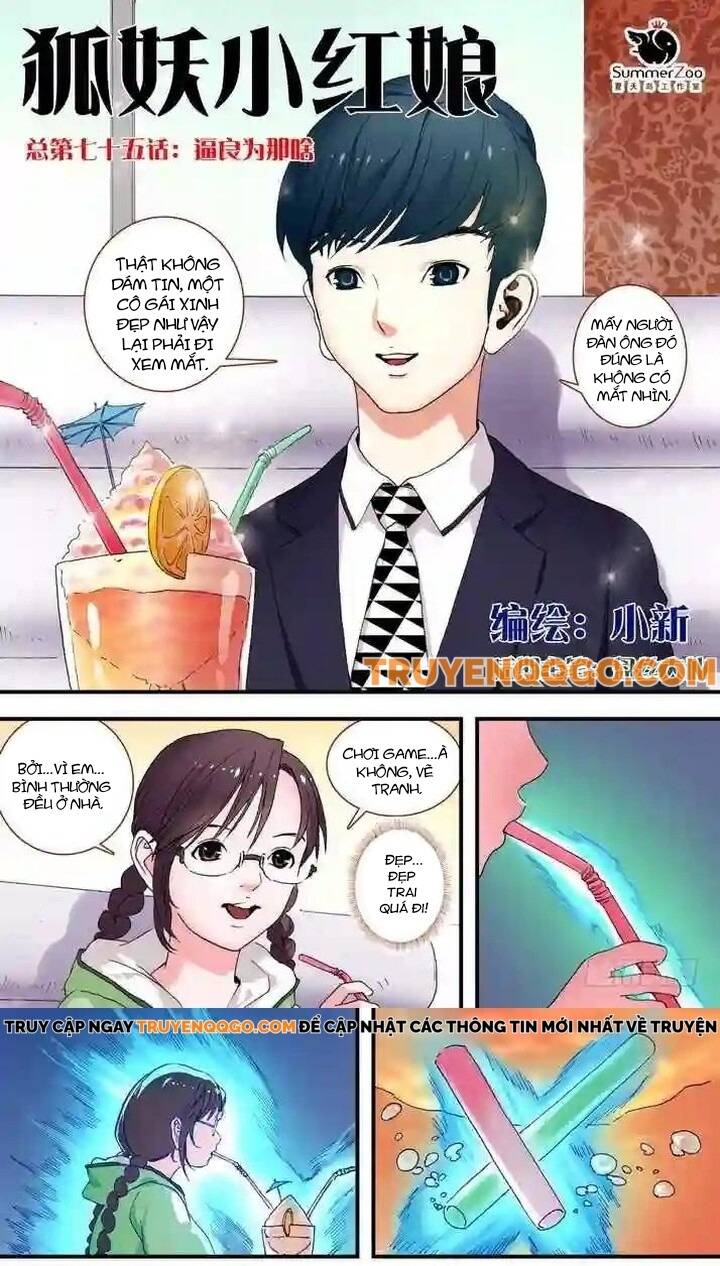 Chapter 75.1