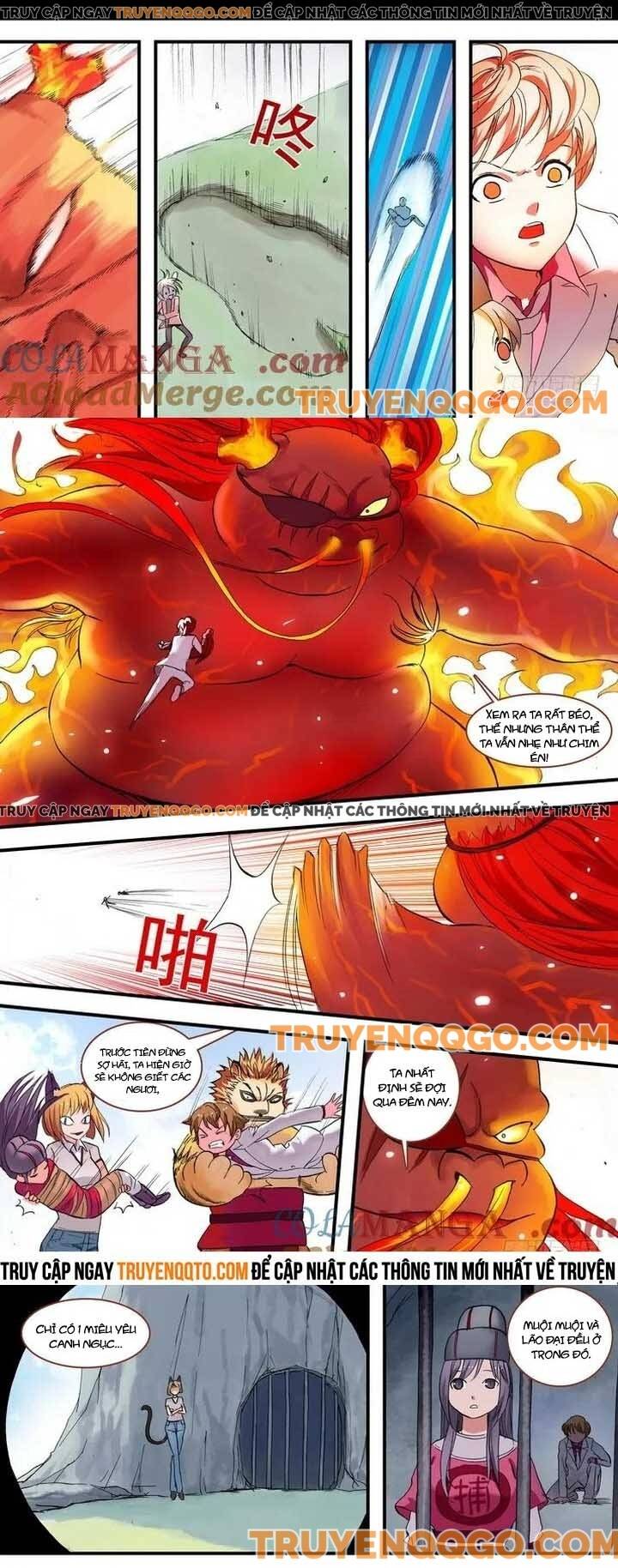 Chapter 77.3