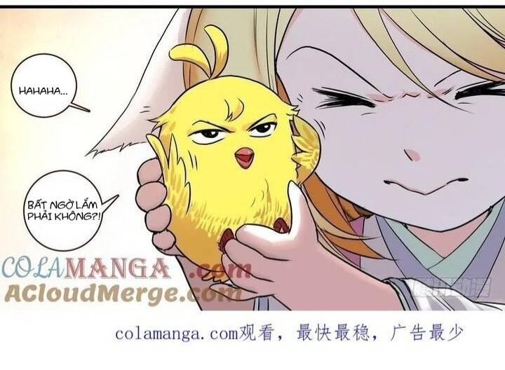 Chapter 113