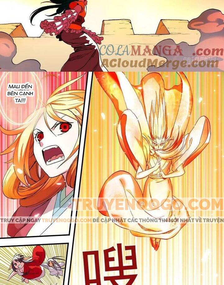 Chapter 48