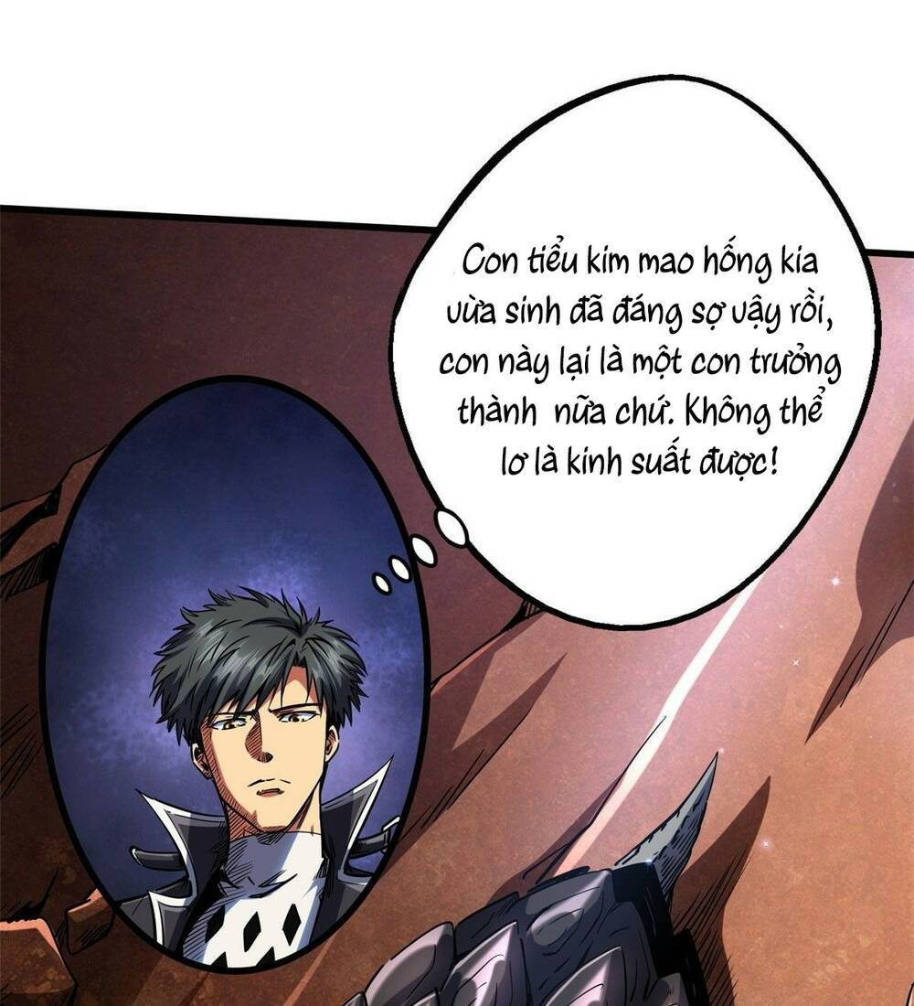 Chapter 114