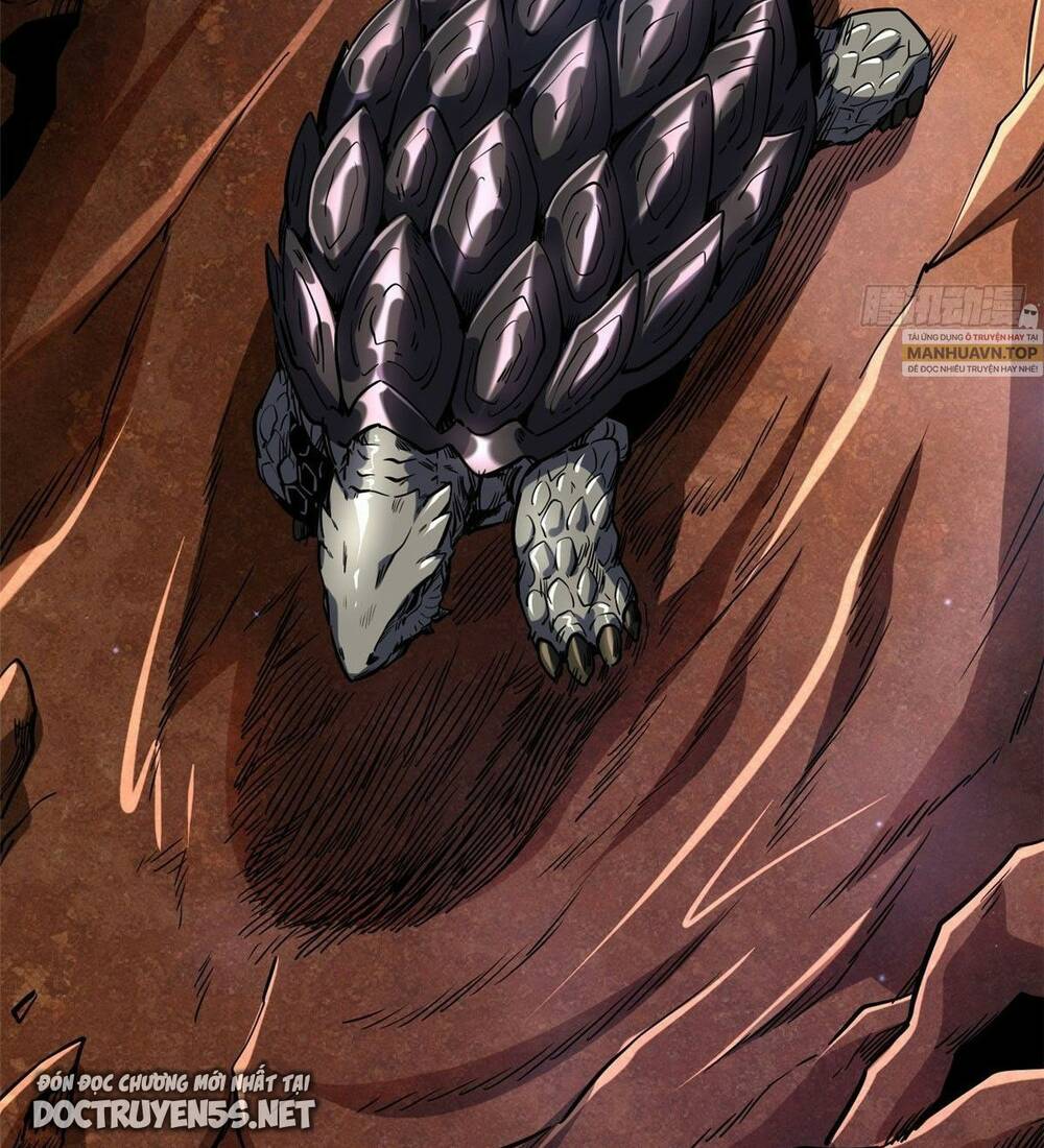 Chapter 114