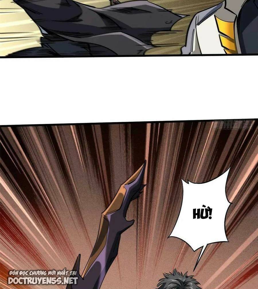 Chapter 117