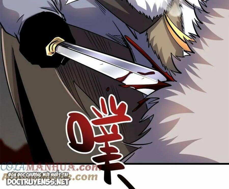 Chapter 144