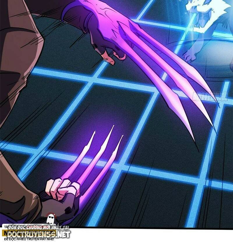 Chapter 155