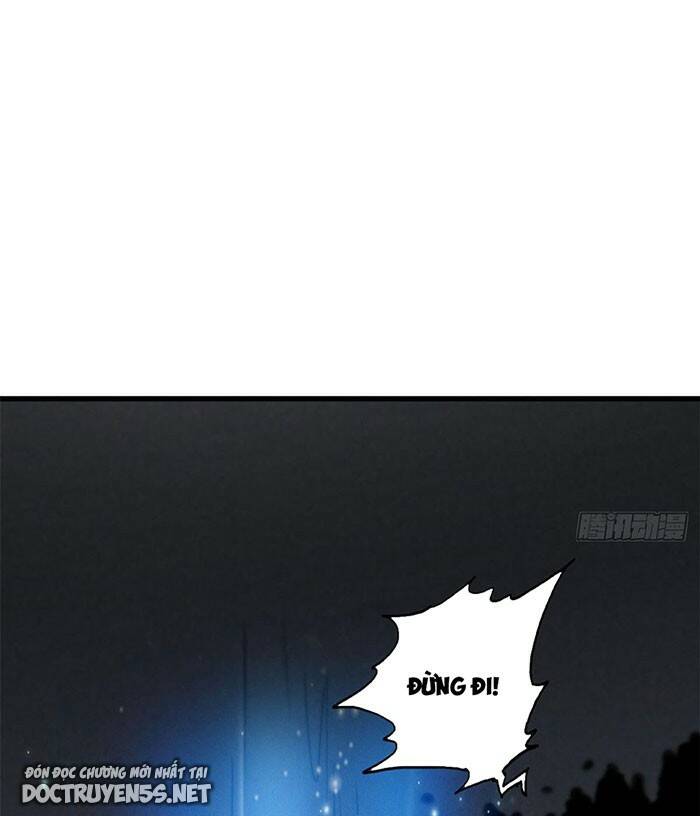 Chapter 156